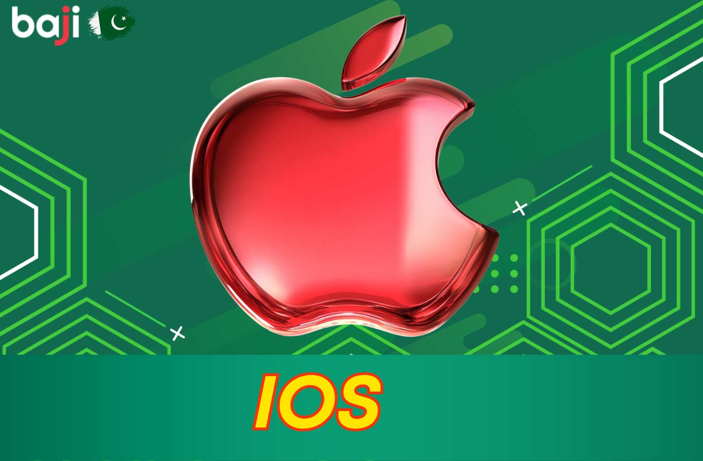 Installing BJ Baji ios App